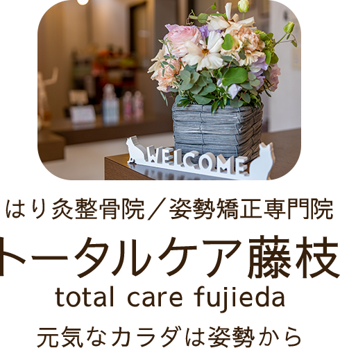 藤枝駅南口より車で7分「大洲中学校」近く はり鍼灸整骨院/姿勢矯正専門院 トータルケア藤枝