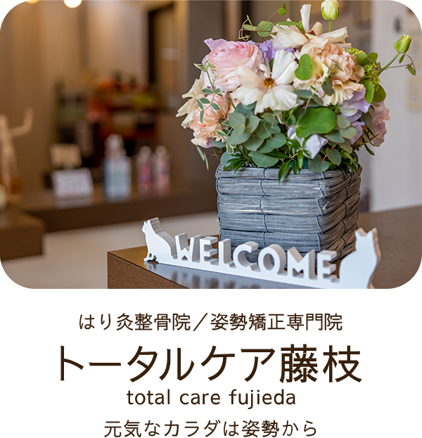 藤枝駅南口より車で7分「大洲中学校」近く はり鍼灸整骨院/姿勢矯正専門院 トータルケア藤枝